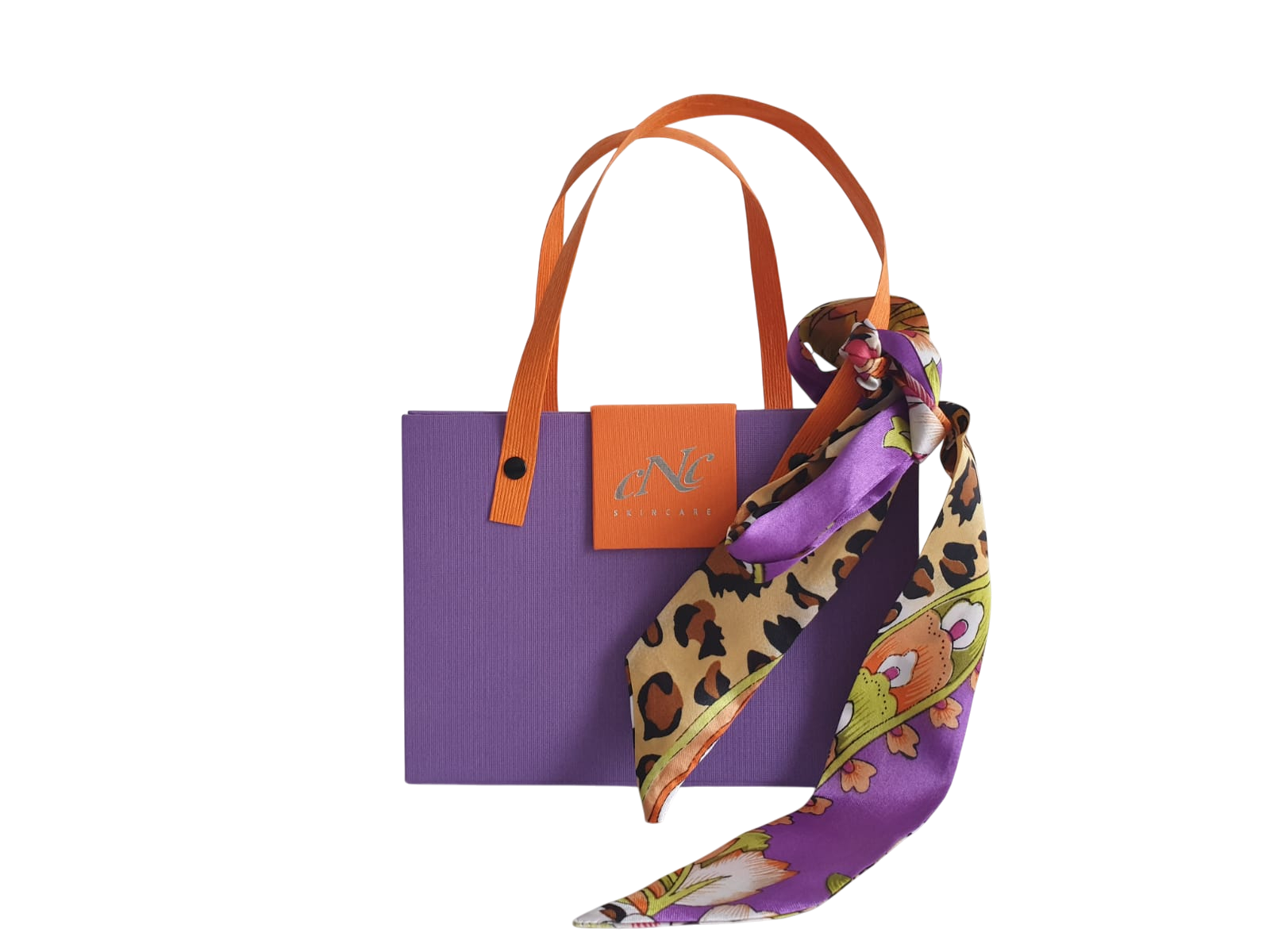 Retinal_Tasche-Photoroom